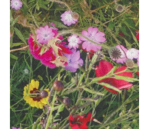 Trixie Leinenoptik Blumenwiese Fotodruck